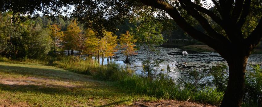 Glenn Sebastian Nature Trail with lake.